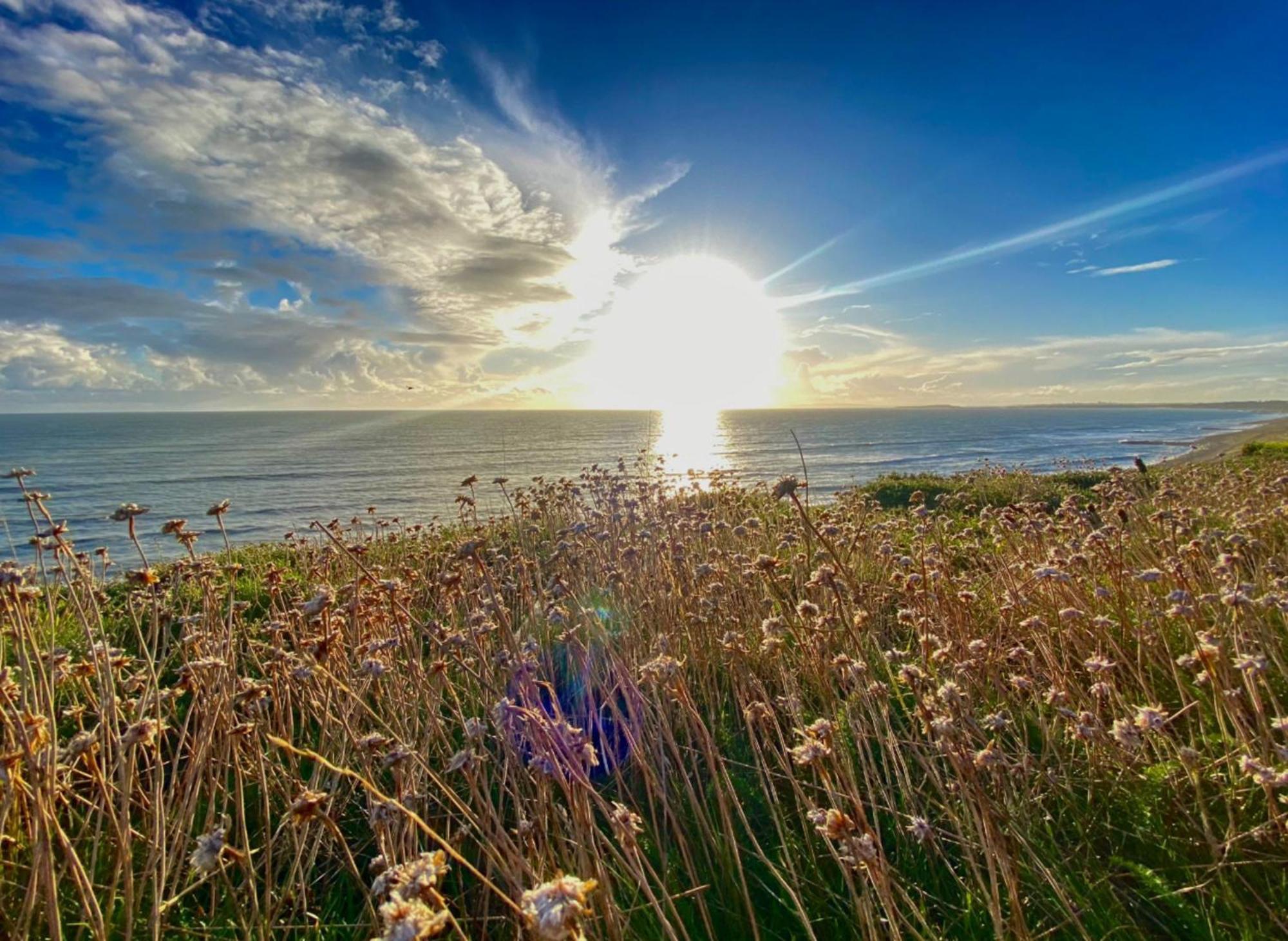 Seaside Escape In Central Bournemouth Spacious Stylish & Inviting Urban Heights Exterior foto